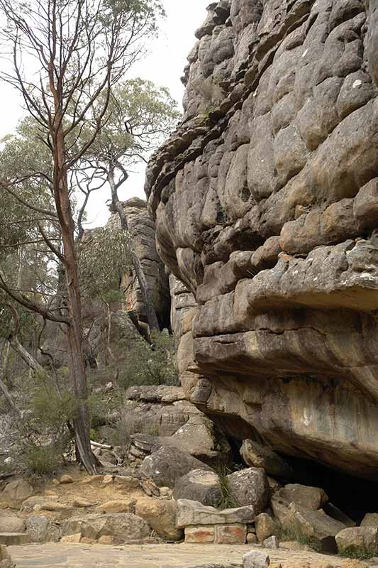 Cliff in the Grampians