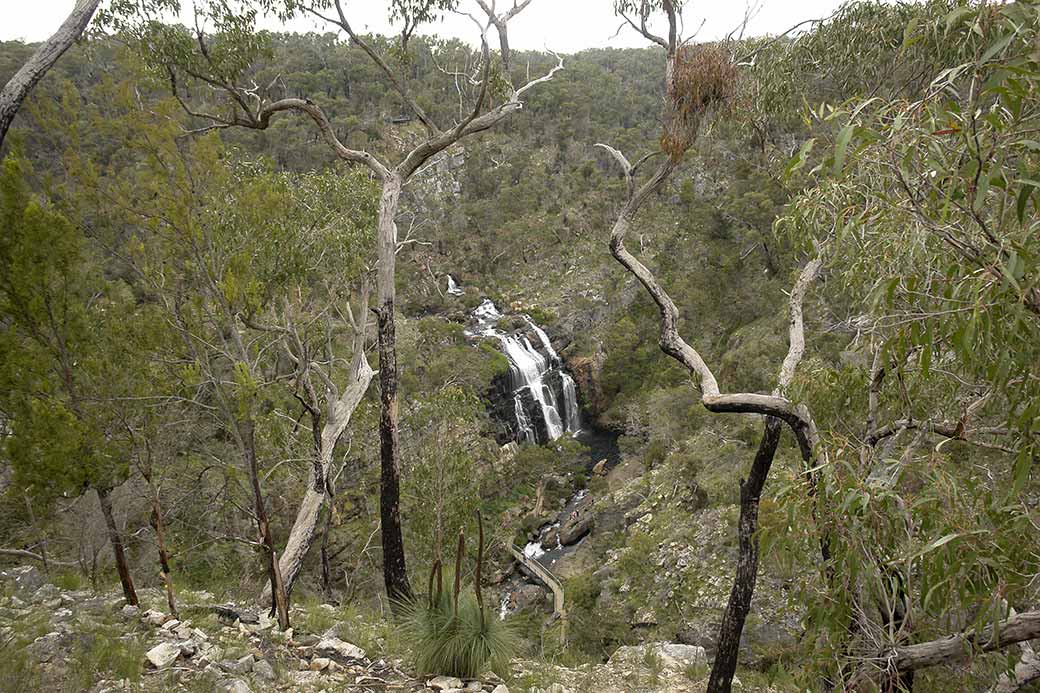 View to MacKenzie Falls