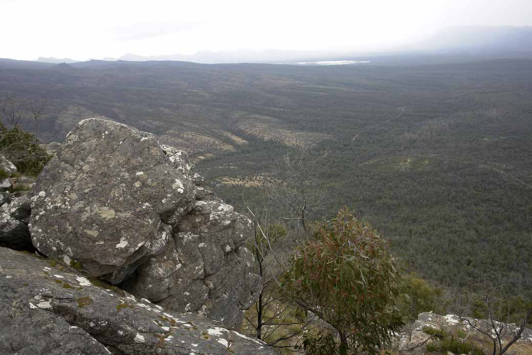 Reed Lookout