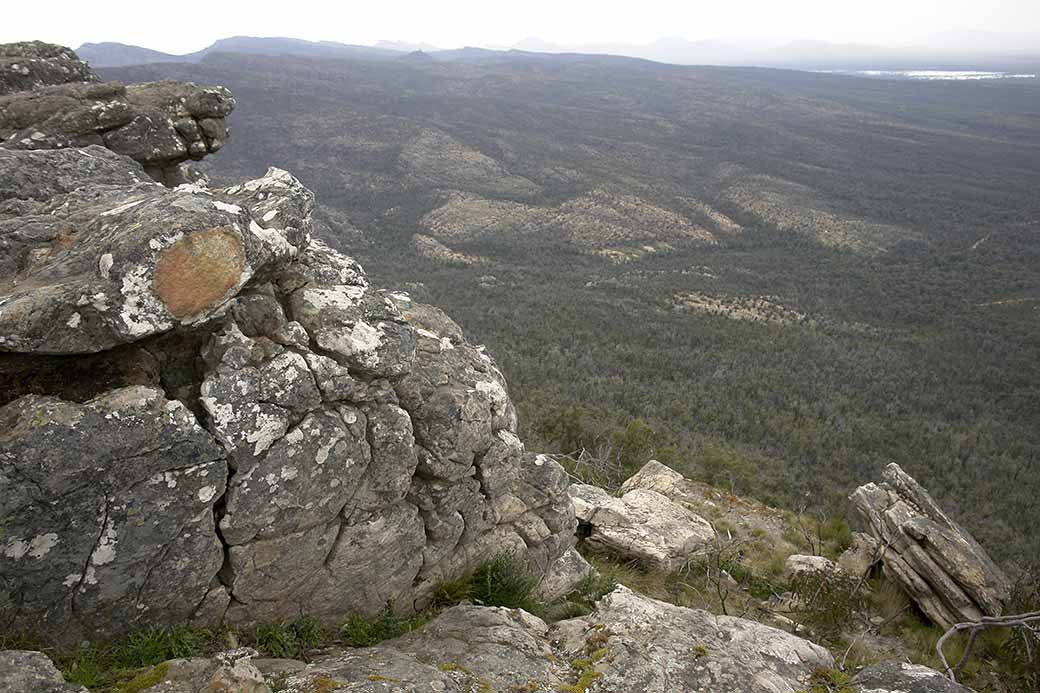 Reed Lookout view