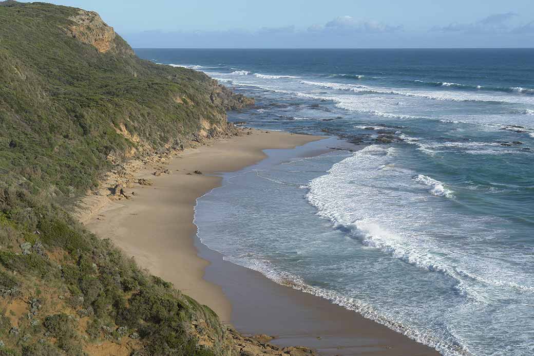 Castle Cove Lookout