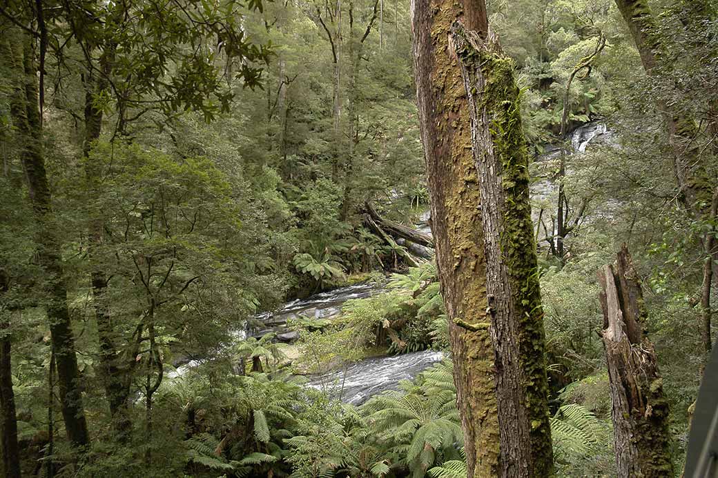 View to Triplet Falls