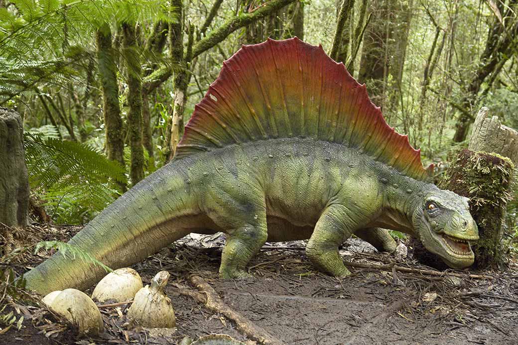 Dimetrodon at Otway Fly