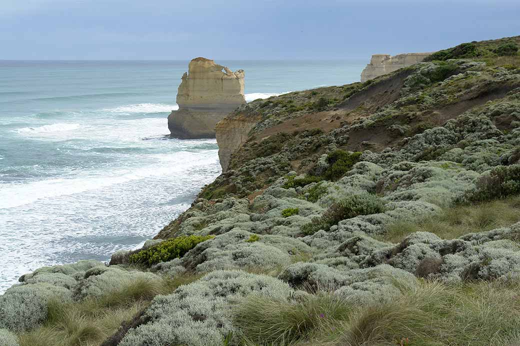 Coast at Gibson Steps