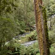 View to Triplet Falls