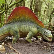 Dimetrodon at Otway Fly