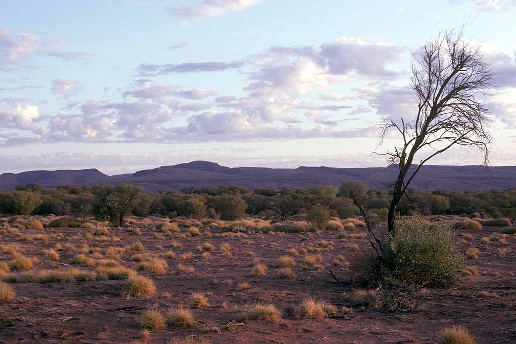 To Mount Hermannsburg