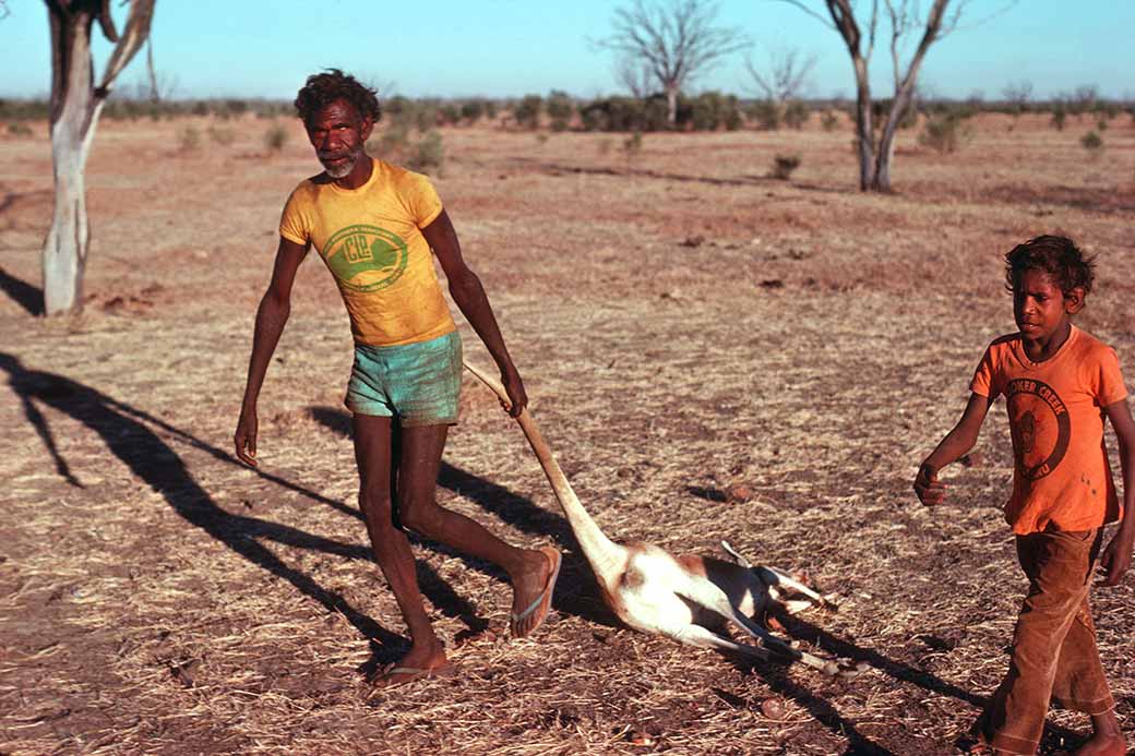 A freshly shot kangaroo