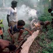 Smoking out a goanna