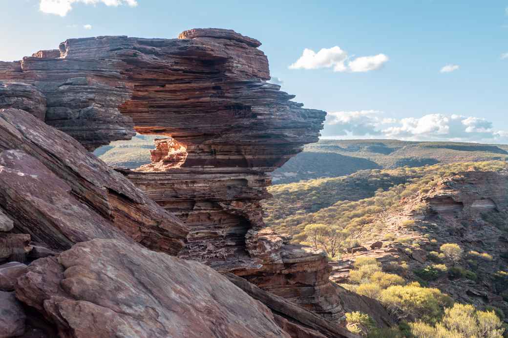 Nature's Window