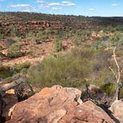 Murchison River gorge