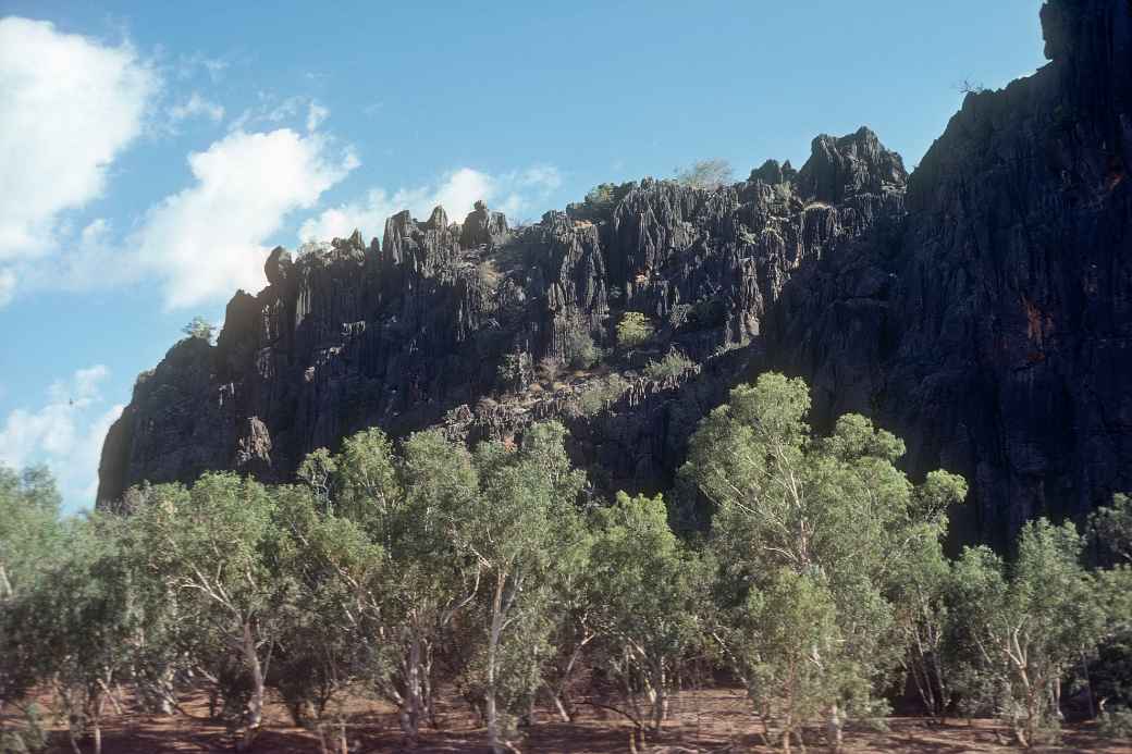 Windjana Gorge