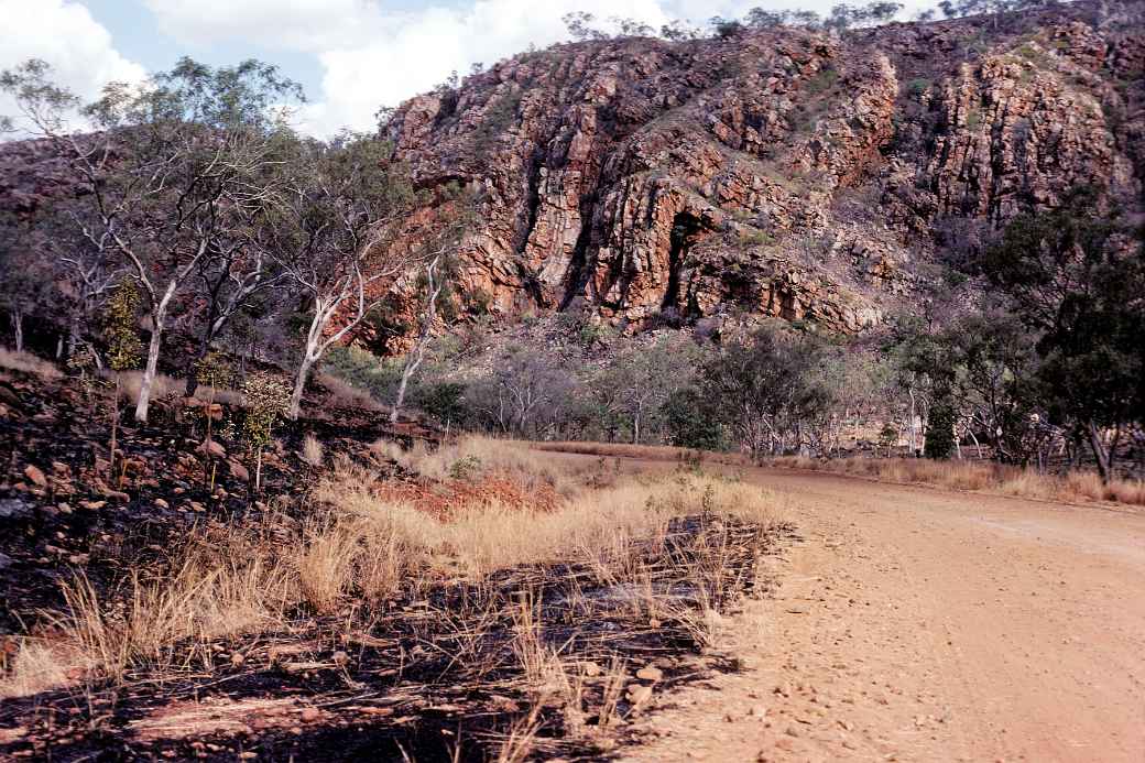 Folded rocks, King Leopold Ranges