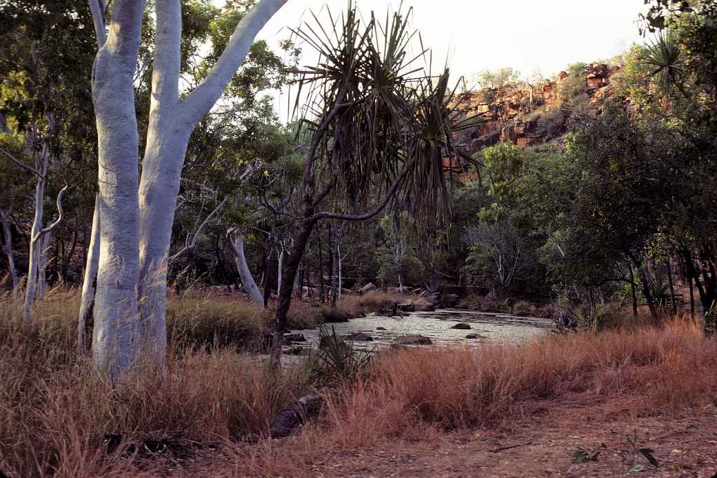 Billabong near Adcock Gorge