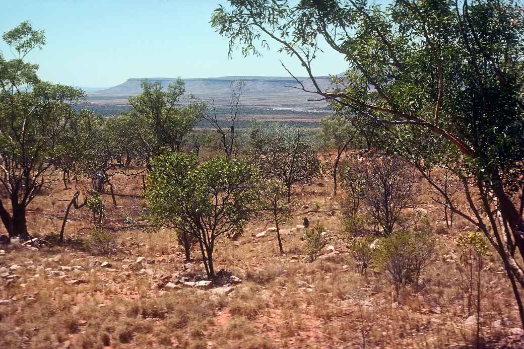 Mountain view, Gibb River Road