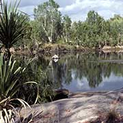 Manning Gorge