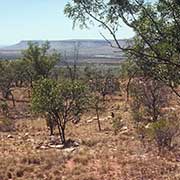 Mountain view, Gibb River Road