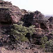 Didbagirring Trail, Hidden Valley