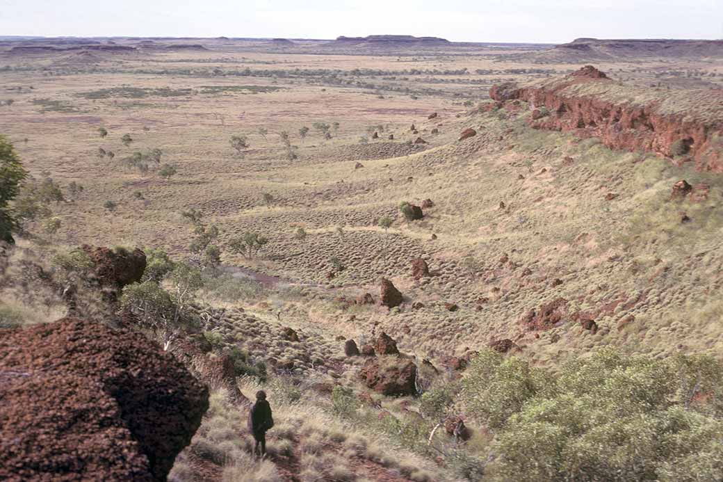 View near 28 Mile