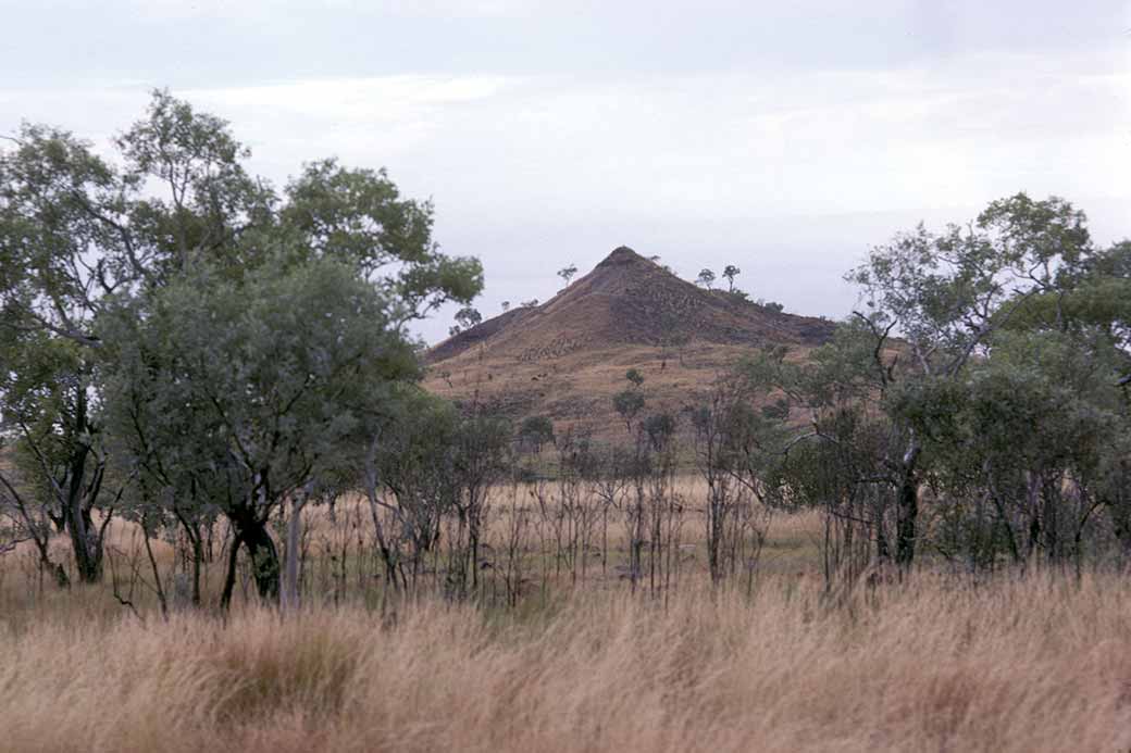 Near Horse Creek