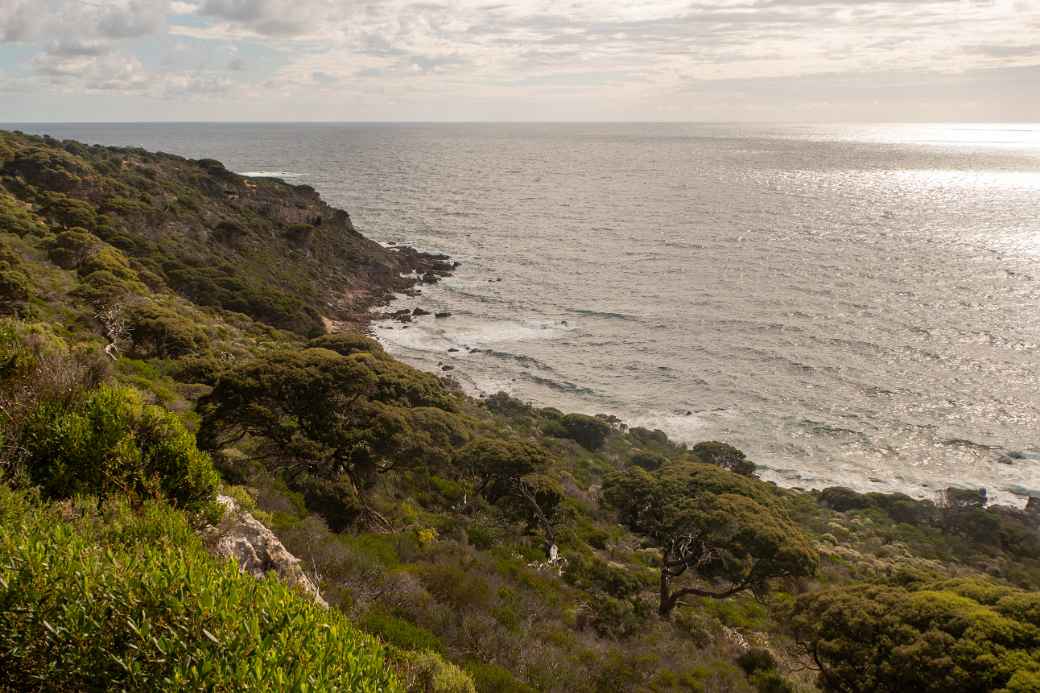 Cape Naturaliste view