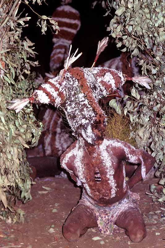 Japaljarri's dance