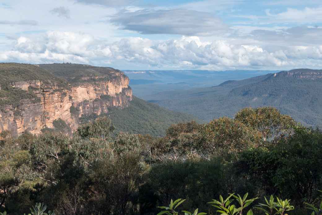 View at Jamison Lookout