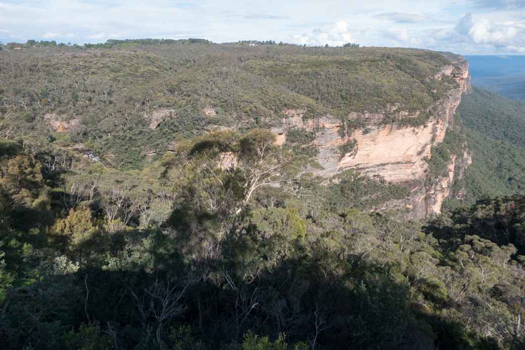 Jamison Lookout