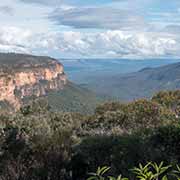 View at Jamison Lookout