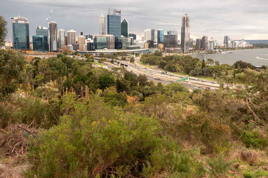 Perth from Kings Park