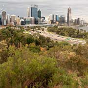 Perth from Kings Park