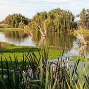 View, Herdsman Lake