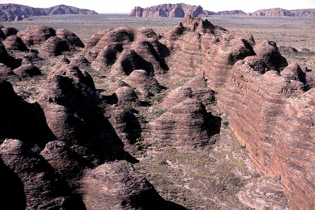 Over the Bungles