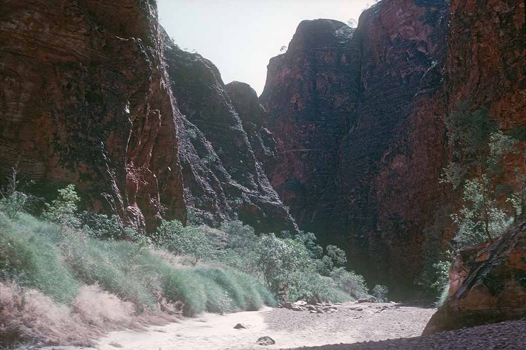 Walking along the sandy bottom