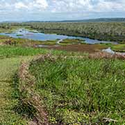 Eubenangee Swamp