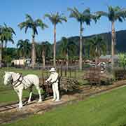 Tully Sugar Pioneers monument