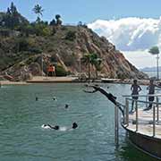 Rock Pool, Townsville