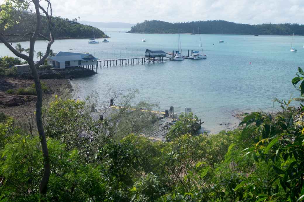 View fom Shute Harbour