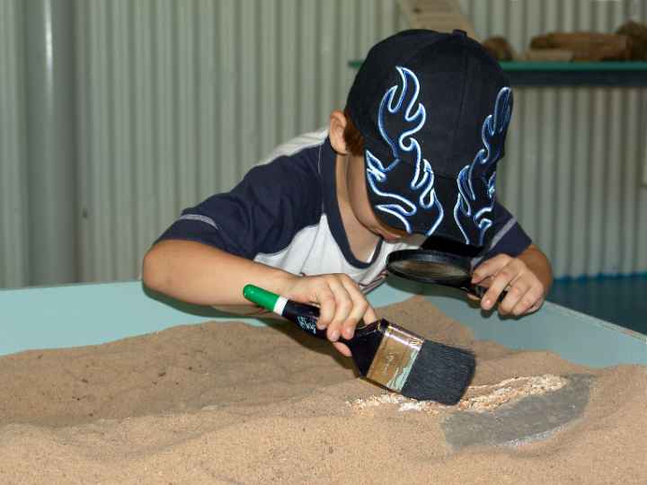 Junior palaeontologist