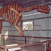 Muttaburrasaurus