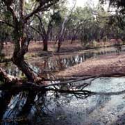 Near Charters Towers