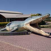 Kronosaurus