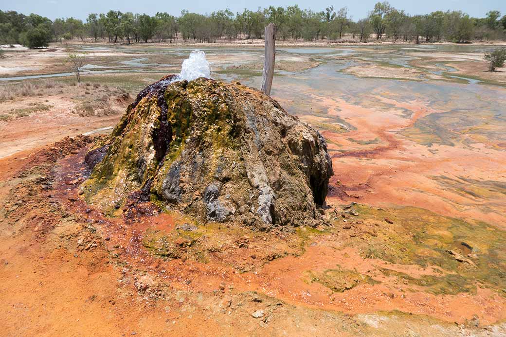 Hot springs in Burketown