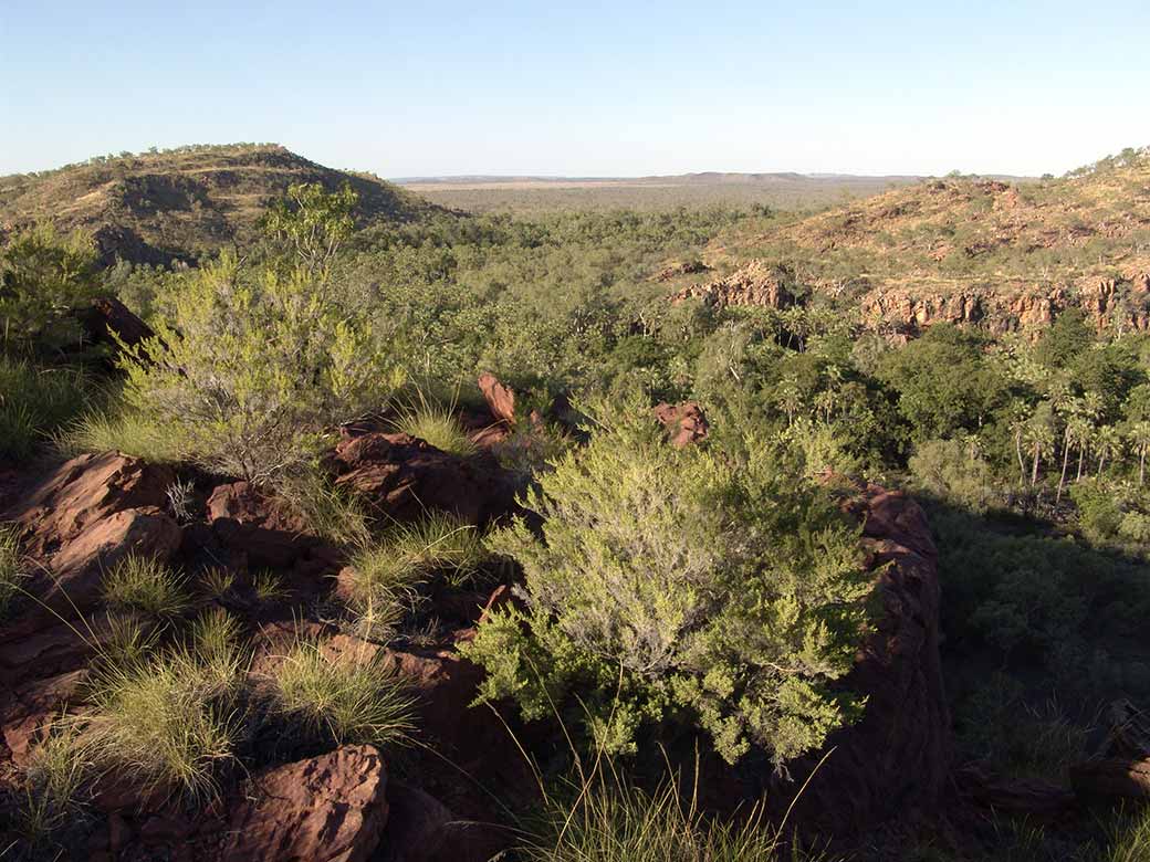 Island Stack, Lawn Hill