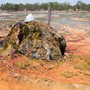 Hot springs in Burketown