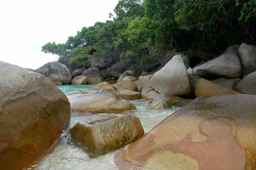 On Fitzroy Island