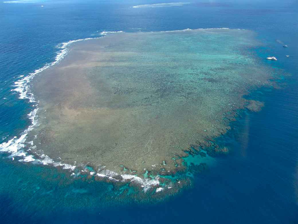 Hamilton Reef