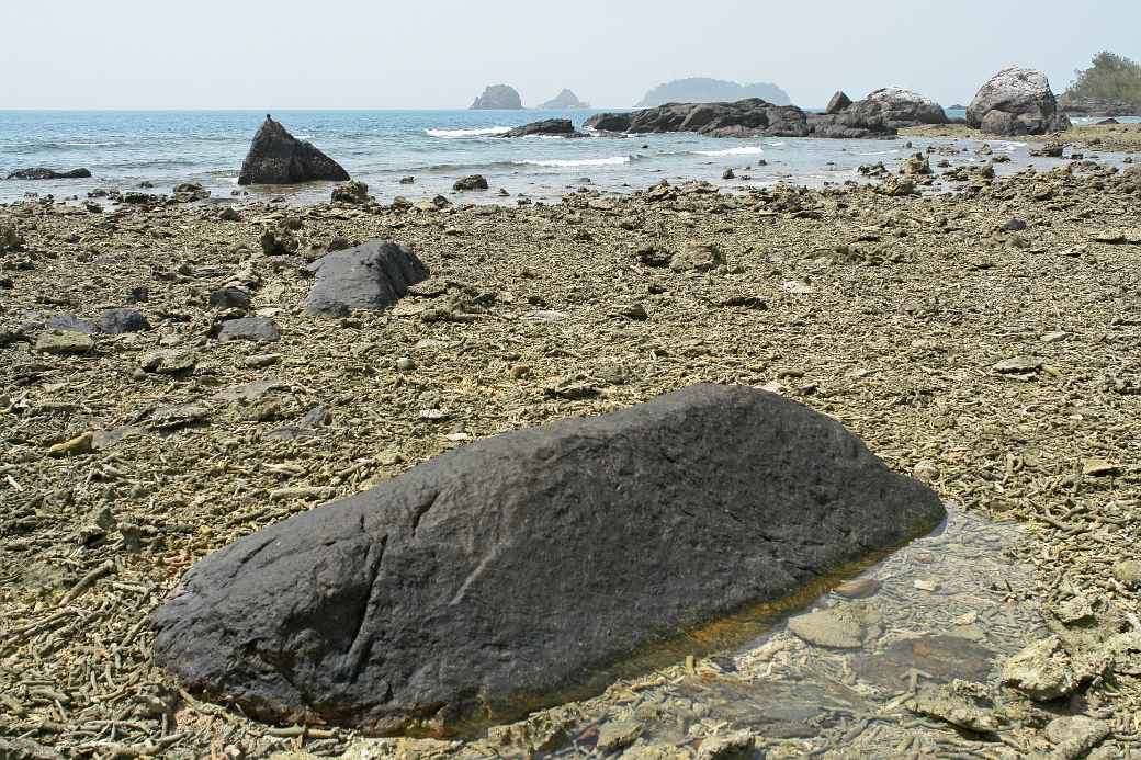 Normanby Island shore