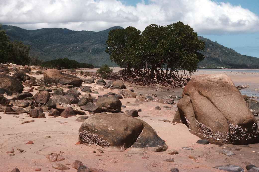 Palm Island bay