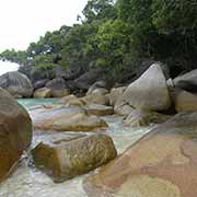 On Fitzroy Island